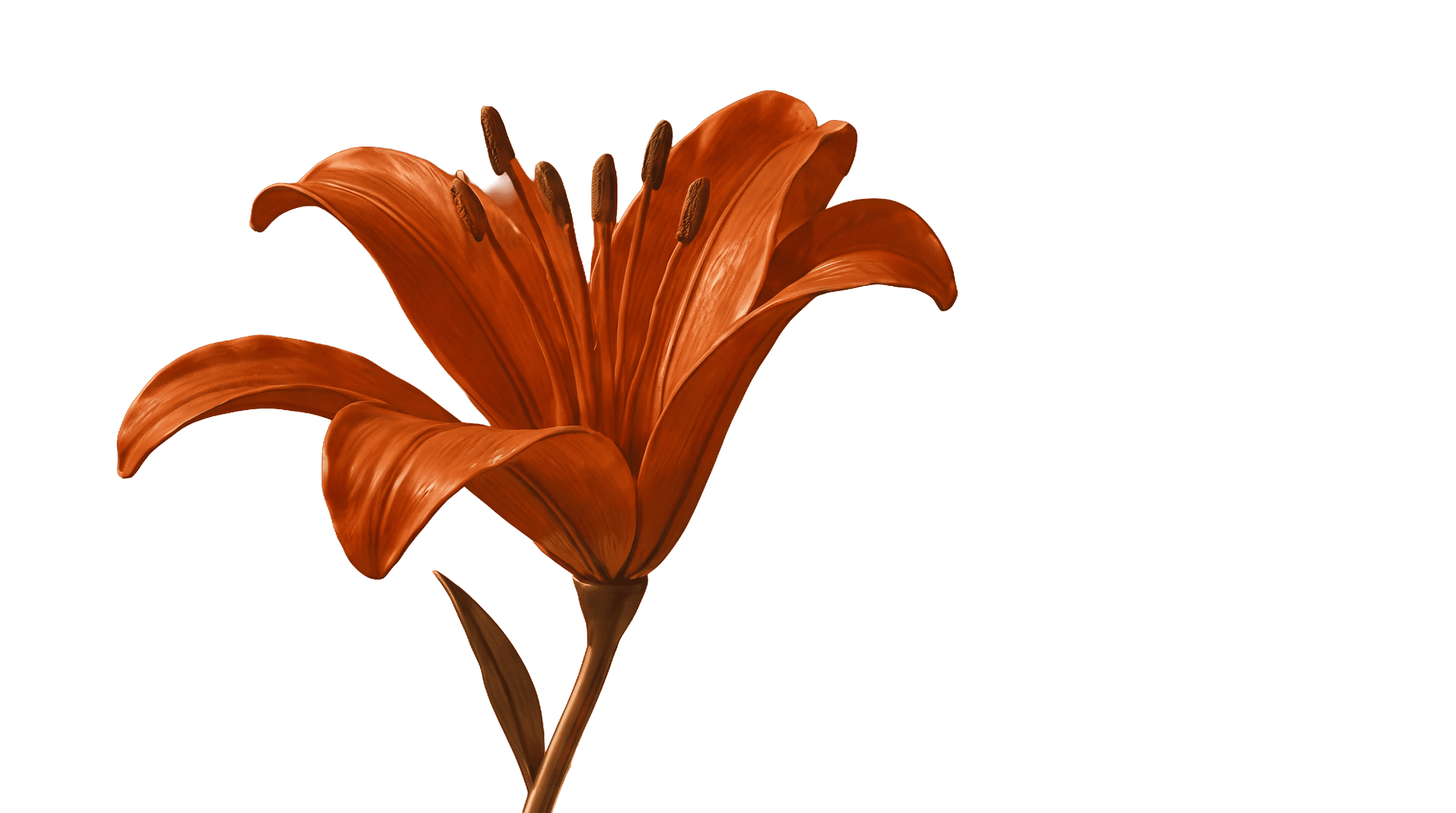 Orange flower